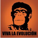 Illustration du profil de Elgazpacho